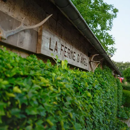 Tatil Evi Group Getaway In Amblève